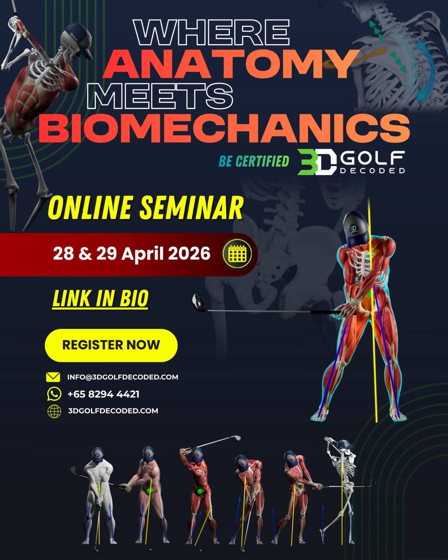 Golf Anatomy Certification Level 1 Flyer(4x5) FA