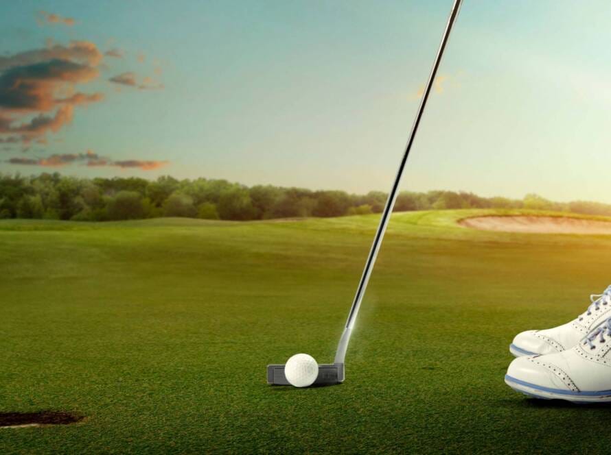 Professional golf player